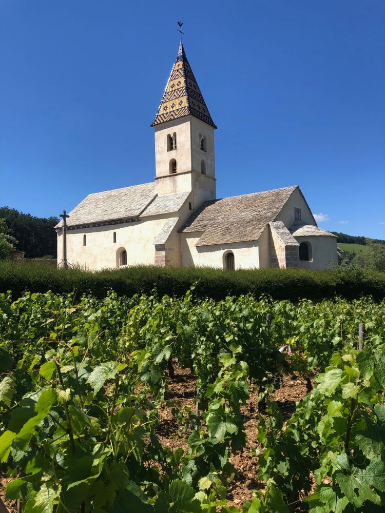 Dijon Balade à vélo Bourgogne