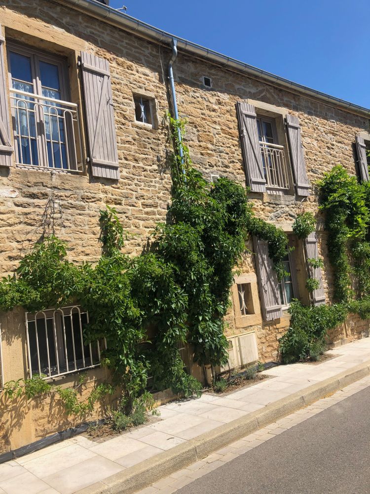 Dijon Balade à vélo Bourgogne