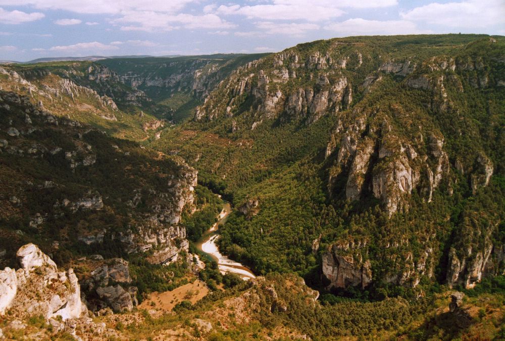 Gorge Du Tarn l'un des plus beaux endroits de France