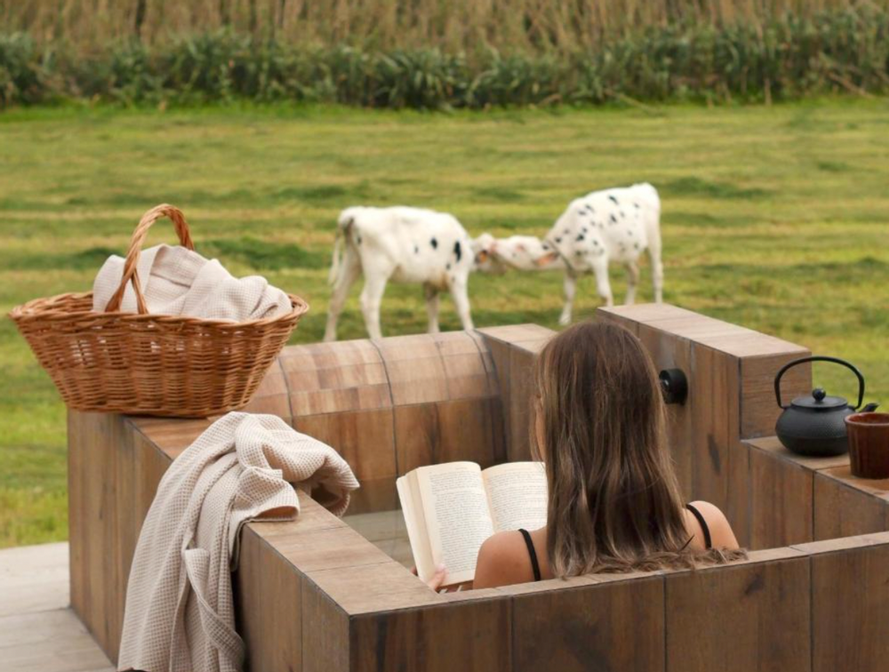 Hôtel près de Sete Cidades Açores Sao Miguel