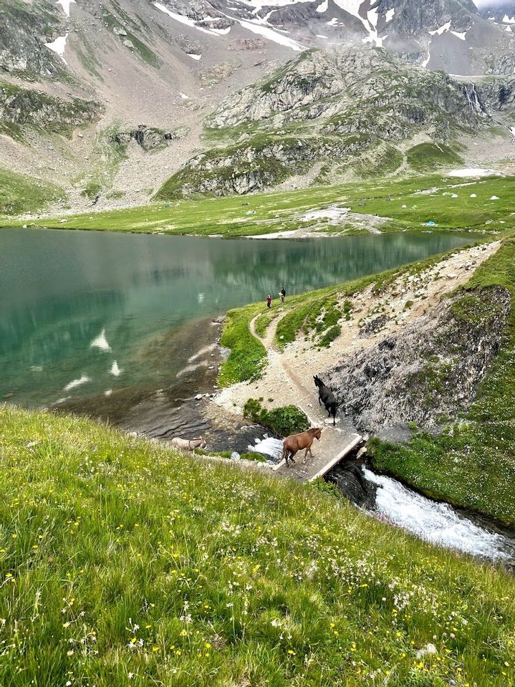 Vin rouge et tarte myrtille lors de la randonnée lac de la Muzelle lac du Lauvitel