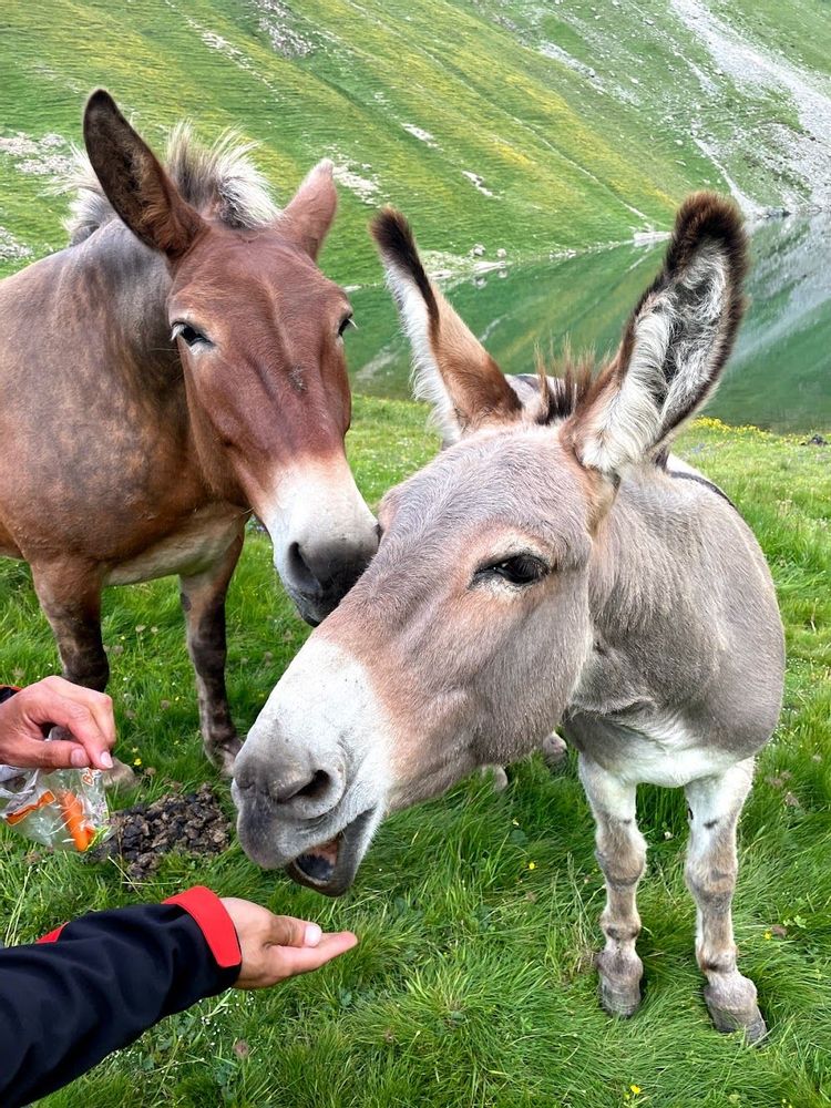 Anes Randonnée lac de la Muzelle lac du Lauvitel