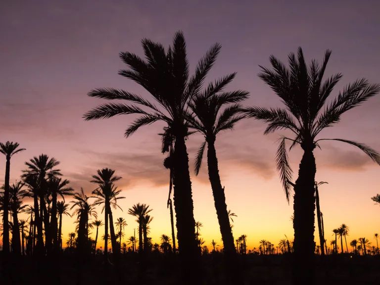 Marrakech évènement EVG EVJF Anniversaire