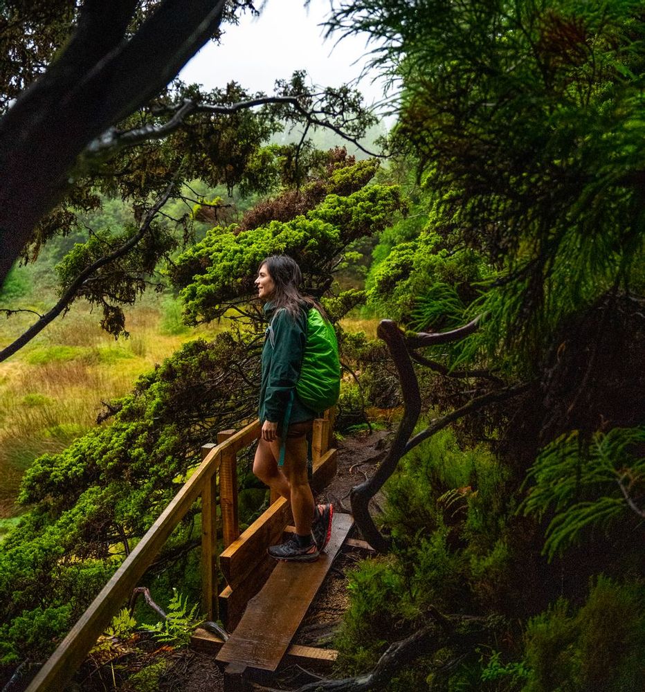 Randonnée Mistérios Negros (PRC01 TER) Terceira Açores