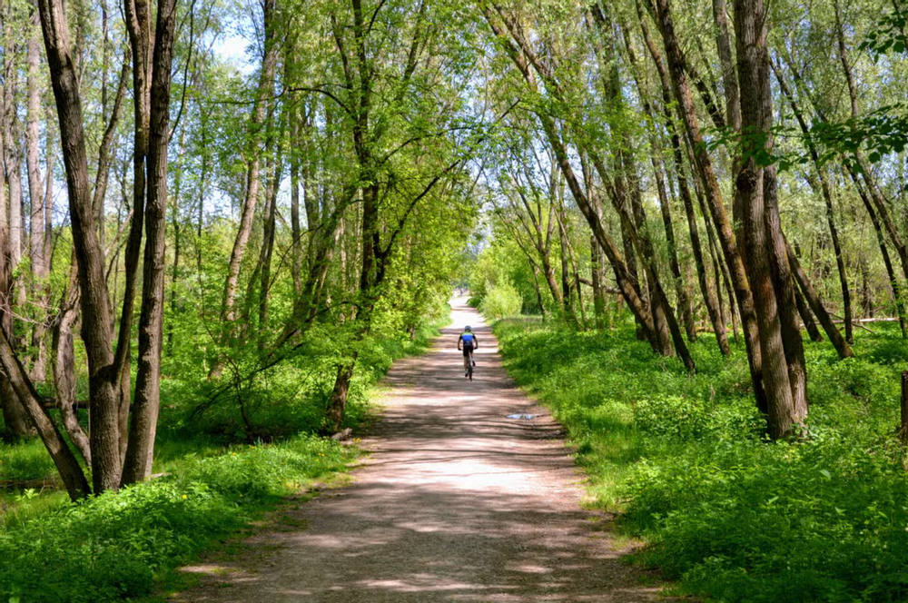 Balade en vélo Cracovie Pologne