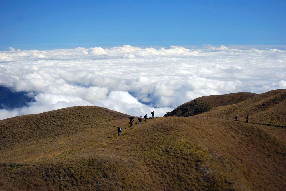 Que faire aux philippines mont pulag