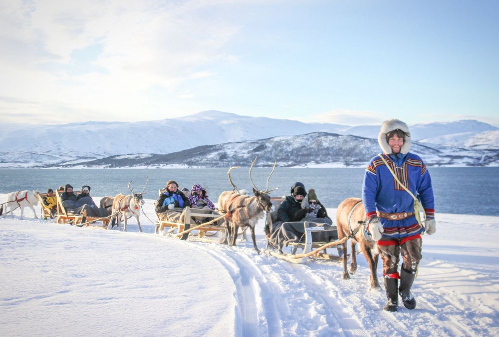 Balade en traîneau à rennes à Tromsø en Norvège