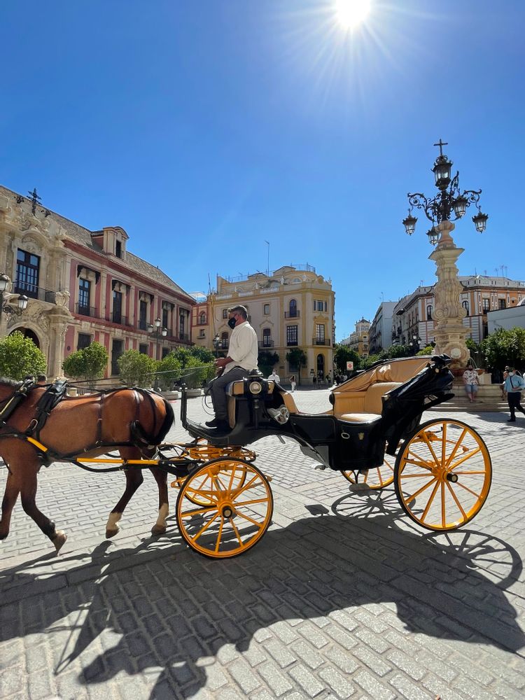 Que faire à Séville - weekend a seville - caléche