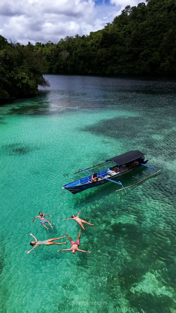 Banggai sulawesi clairexplore