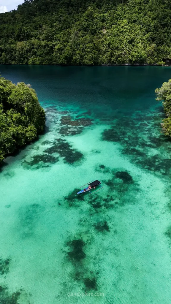 Banggai sulawesi clairexplore