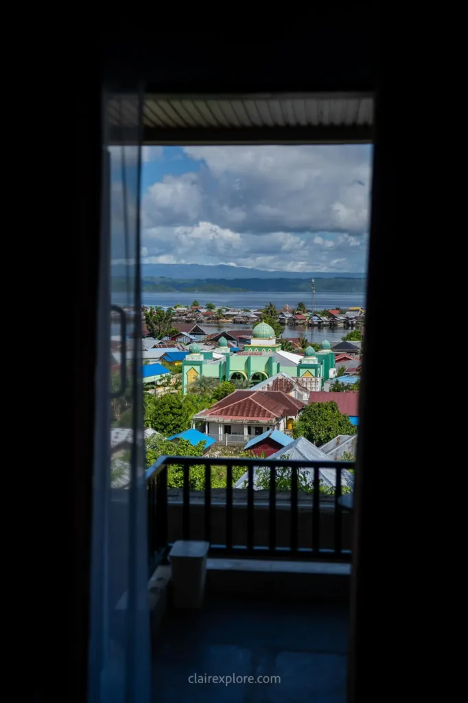 Banggai sulawesi clairexplore