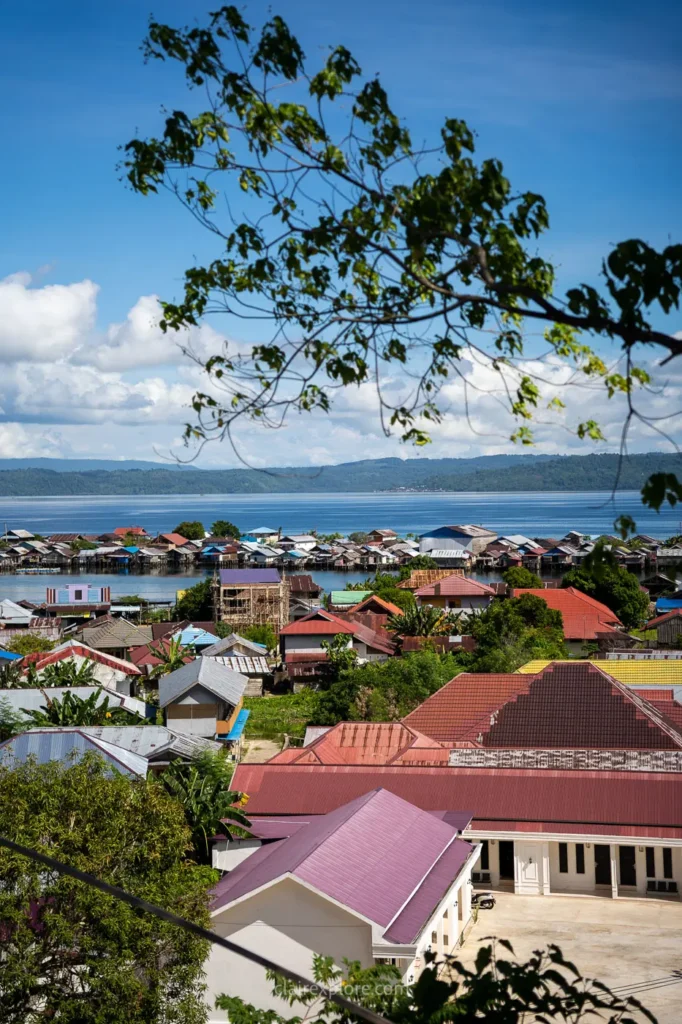 Banggai sulawesi clairexplore