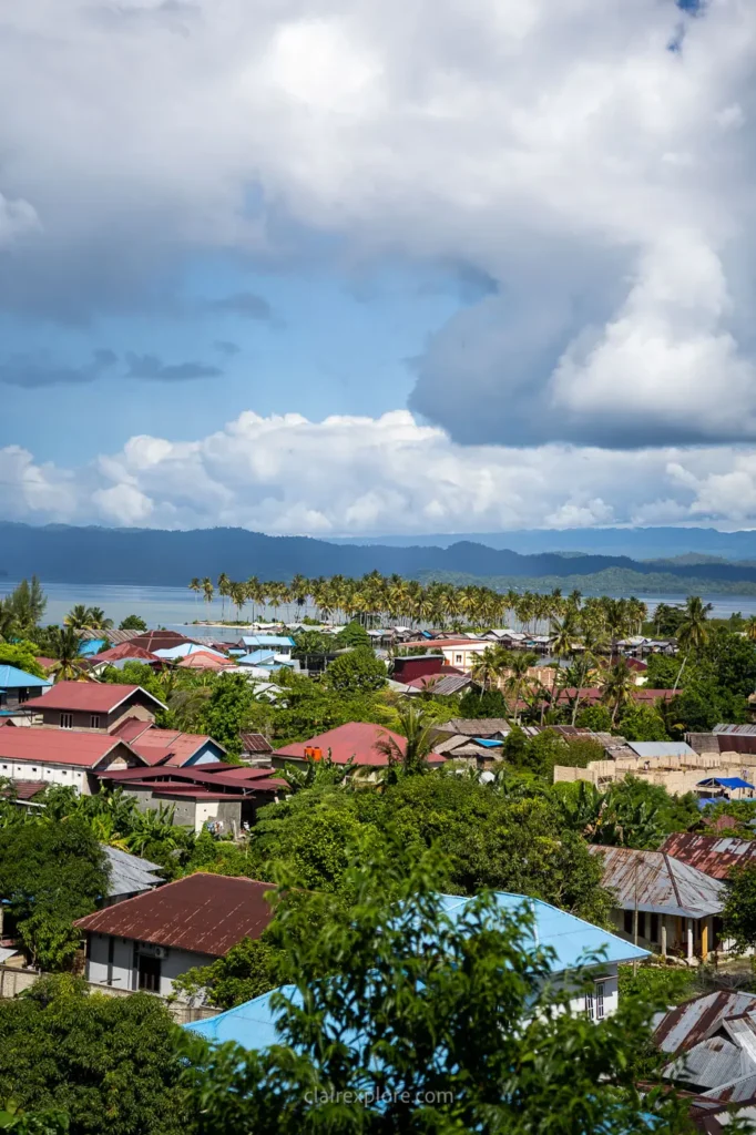 Banggai sulawesi clairexplore