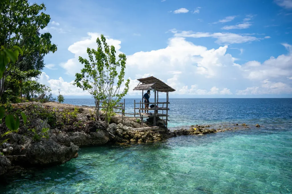 Banggai sulawesi clairexplore