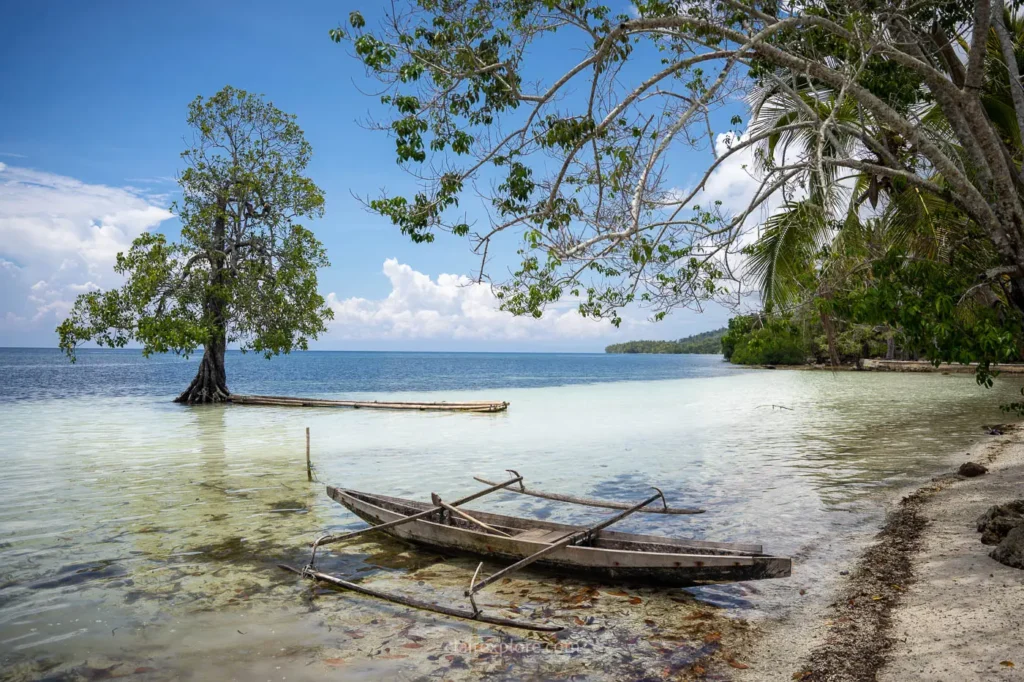 Banggai sulawesi clairexplore