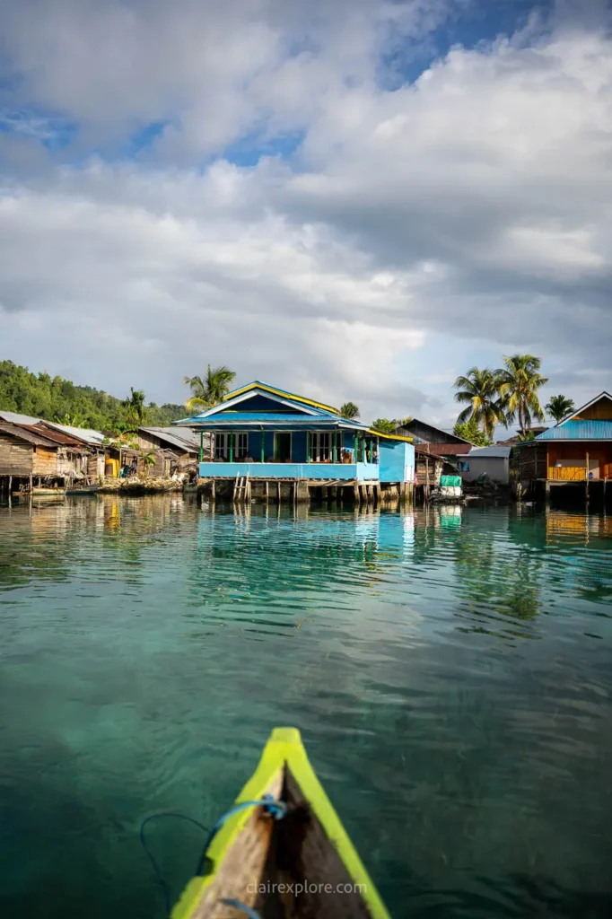 Banggai sulawesi clairexplore
