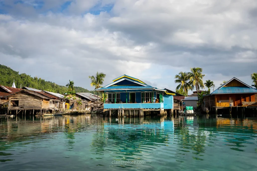 Banggai sulawesi clairexplore