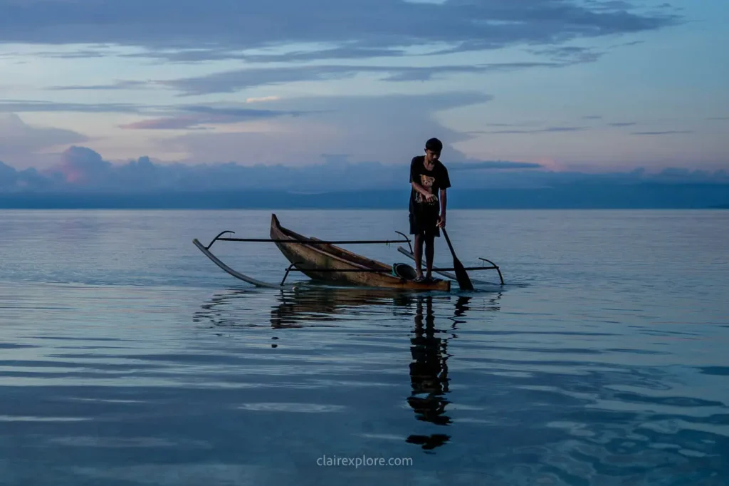 Banggai sulawesi clairexplore