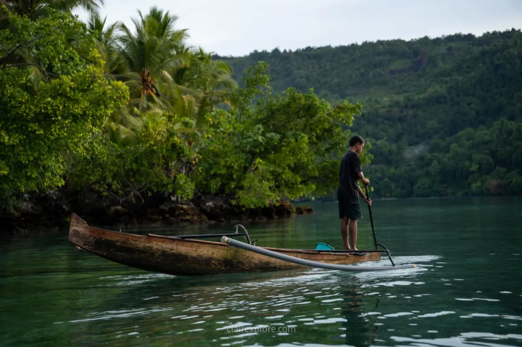 Banggai sulawesi clairexplore
