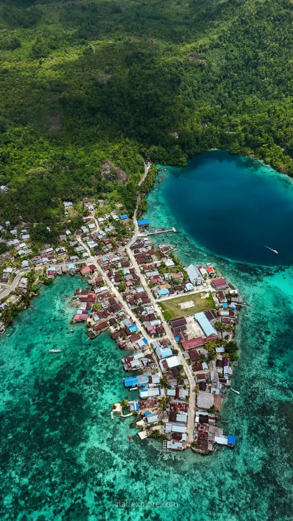 Banggai sulawesi clairexplore