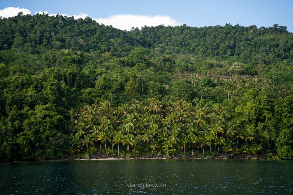 Banggai sulawesi clairexplore