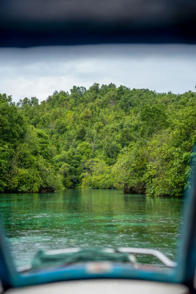 Banggai sulawesi clairexplore