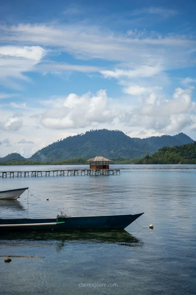 Togean sulawesi clairexplore