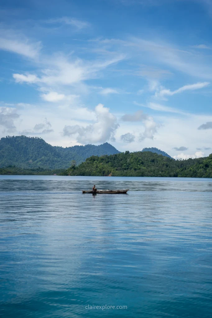 Togean sulawesi clairexplore