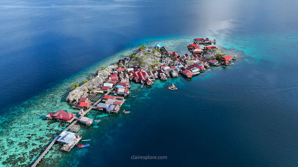 Togean sulawesi clairexplore