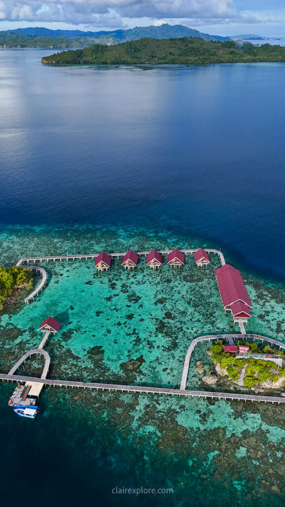 Togean sulawesi clairexplore