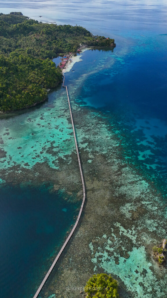 Togean sulawesi clairexplore