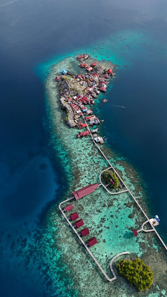 Togean sulawesi clairexplore
