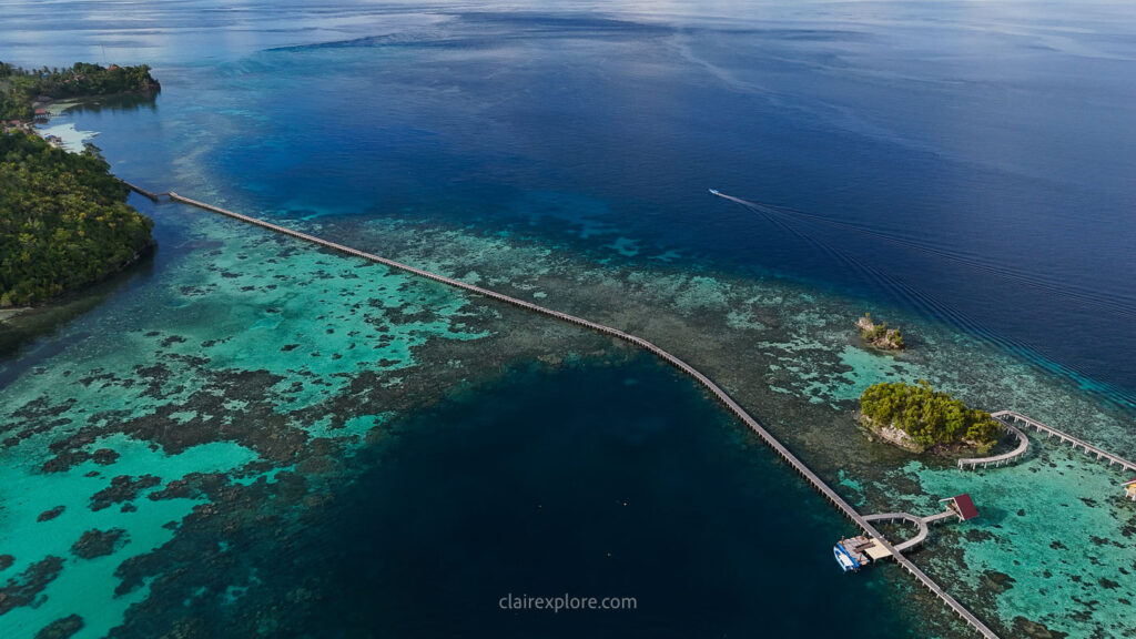 Togean sulawesi clairexplore