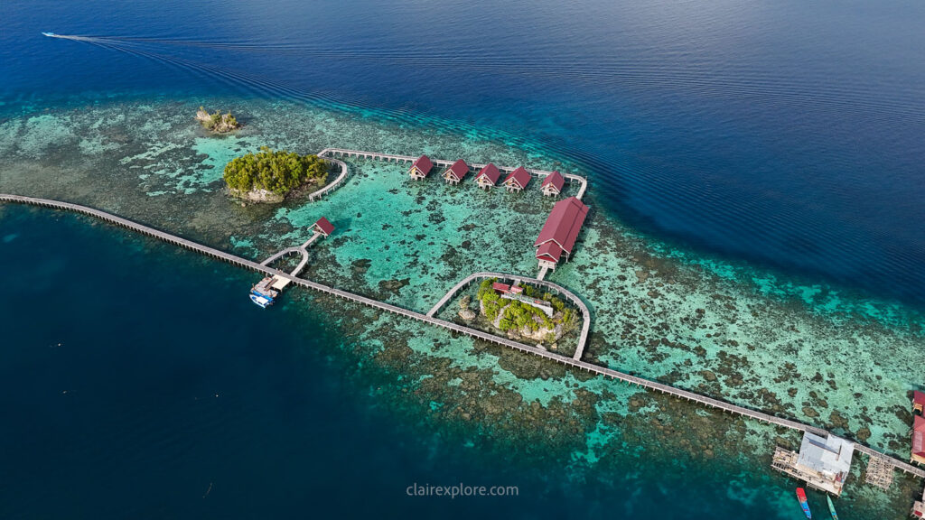 Togean sulawesi clairexplore