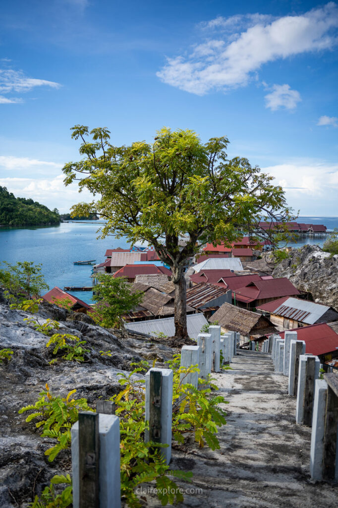 Togean sulawesi clairexplore