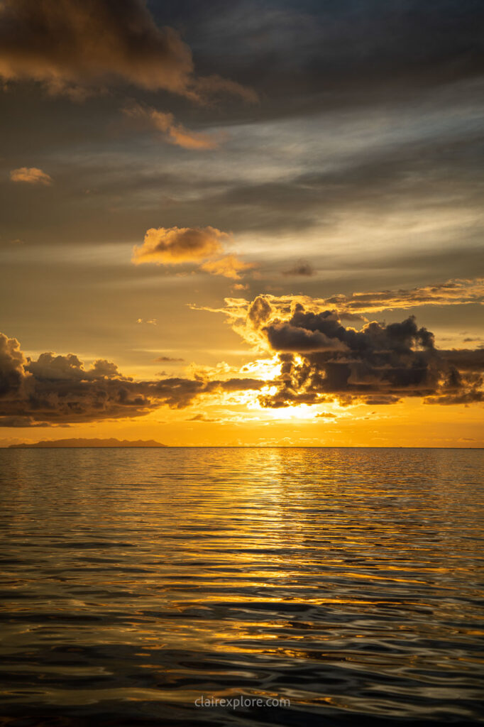 Togean sulawesi clairexplore