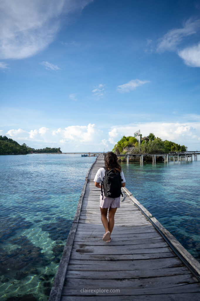 Togean sulawesi clairexplore