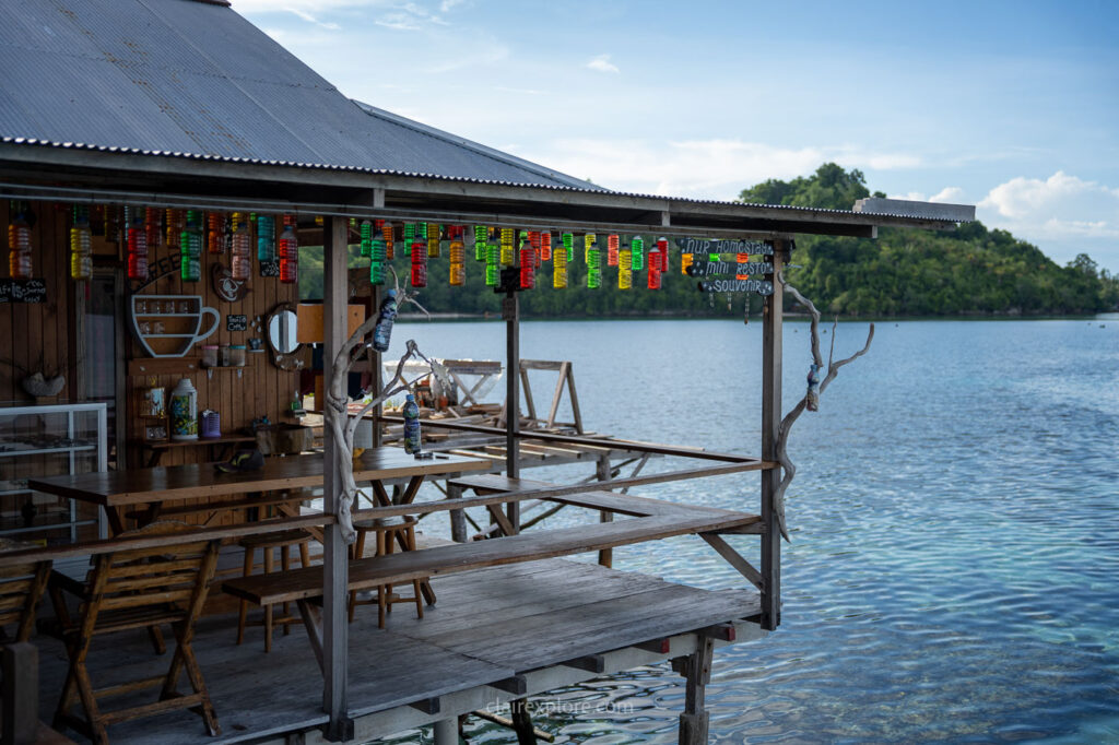 Togean sulawesi clairexplore