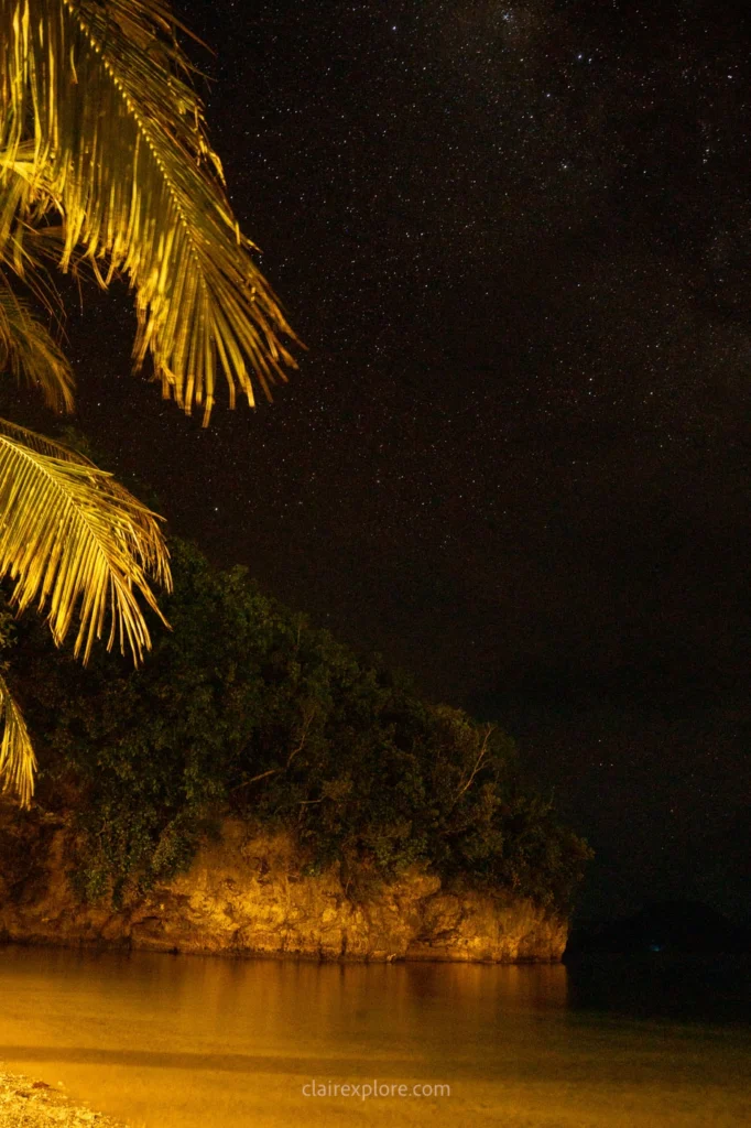Togean sulawesi clairexplore