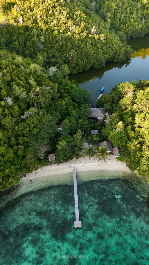 Togean sulawesi clairexplore
