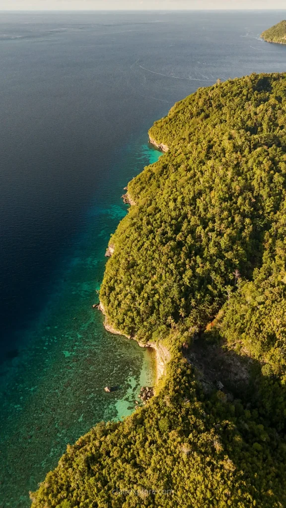 Togean sulawesi clairexplore