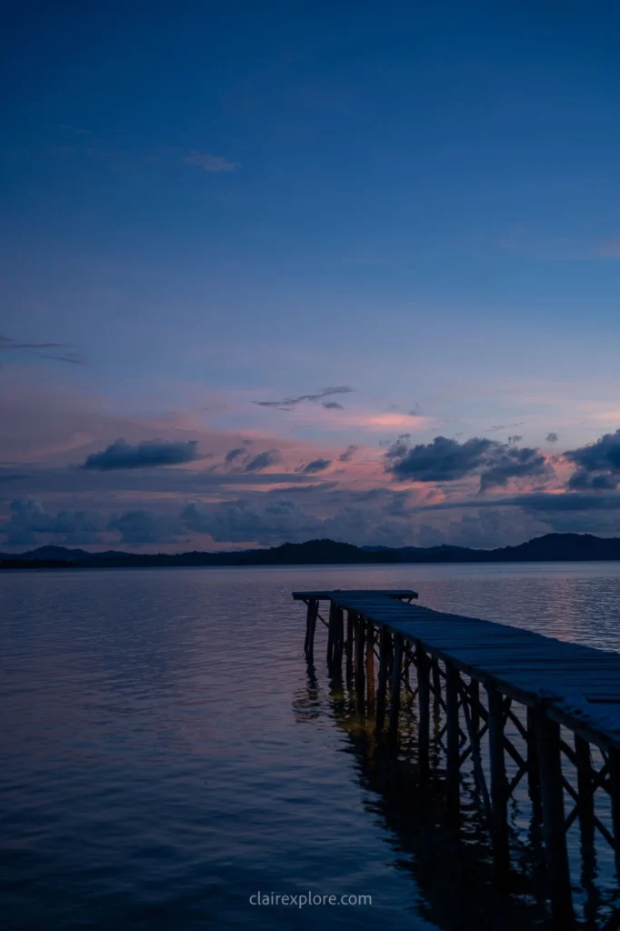 Togean sulawesi clairexplore