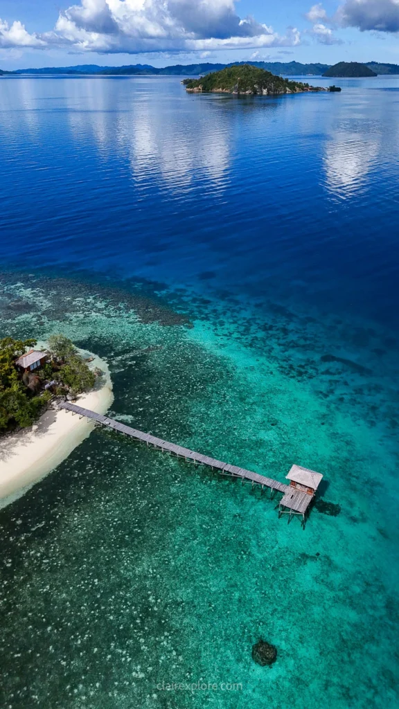 Togean sulawesi clairexplore