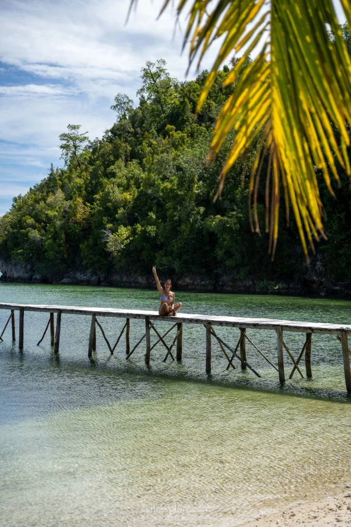 Togean sulawesi clairexplore