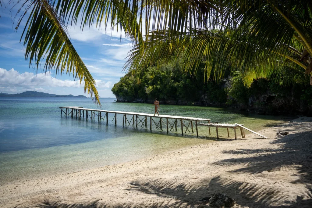 Togean sulawesi clairexplore