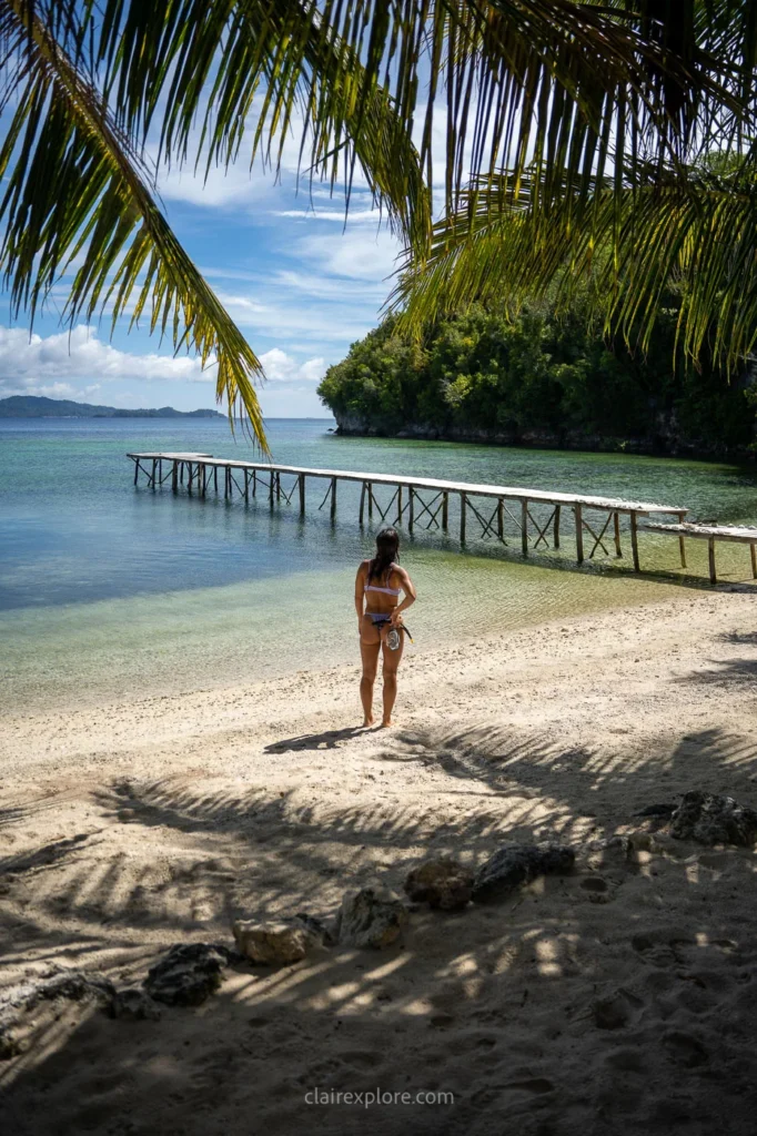 Togean sulawesi clairexplore