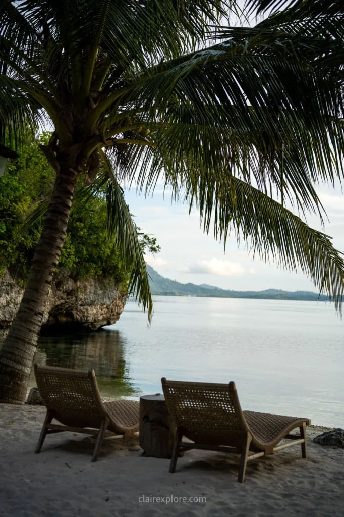 Togean sulawesi clairexplore
