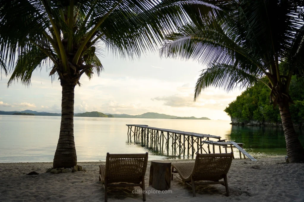 Togean sulawesi clairexplore 151 (1)