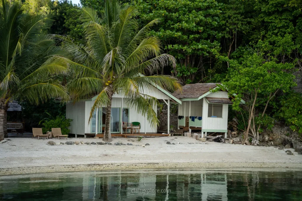 Togean sulawesi clairexplore