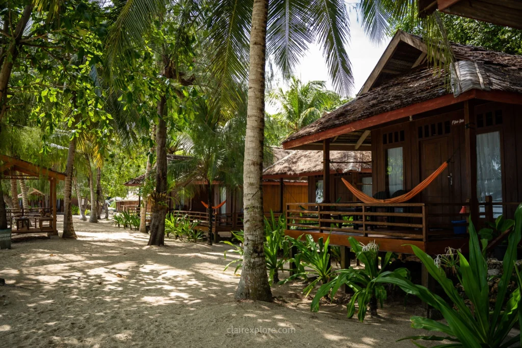Togean sulawesi clairexplore